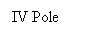 Text Box: IV Pole 
